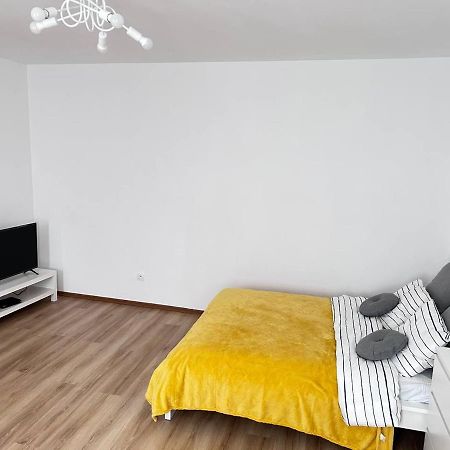 Stone Apartment - Free Parking Katowice Luaran gambar